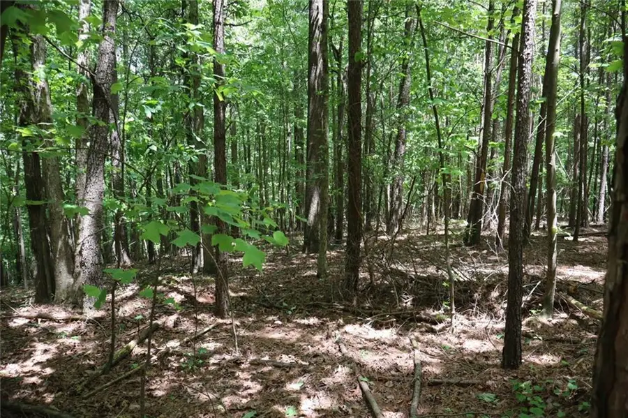 0 Parksbrook Road A, Ellijay, GA 30540 - #3