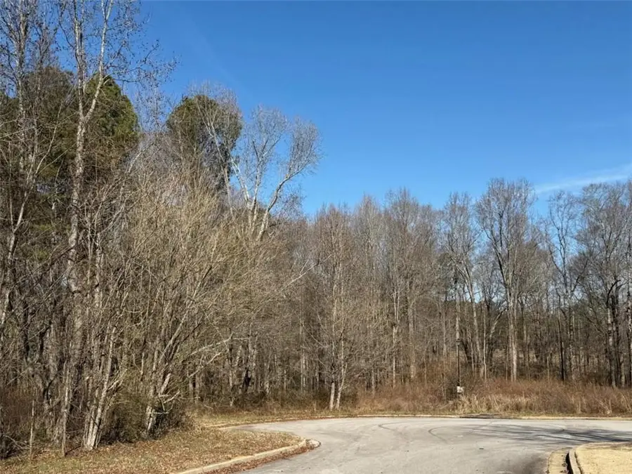 611 Mcdowell Lane, Bethlehem, GA 30620 - #2