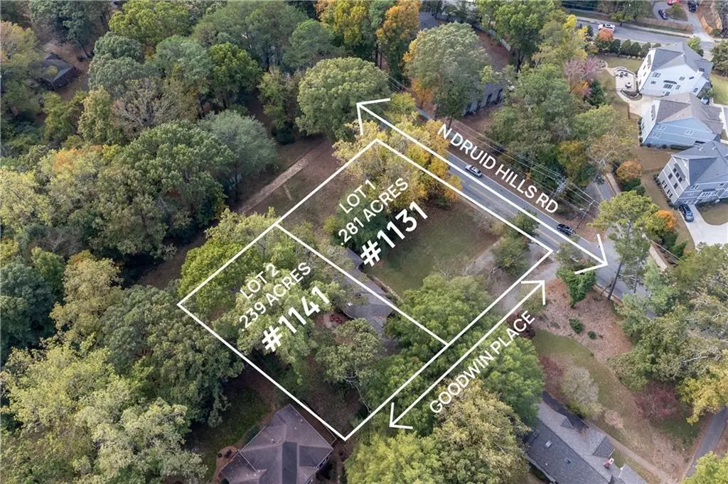 1141 Goodwin Place Ne, Brookhaven, GA 30319 - #1