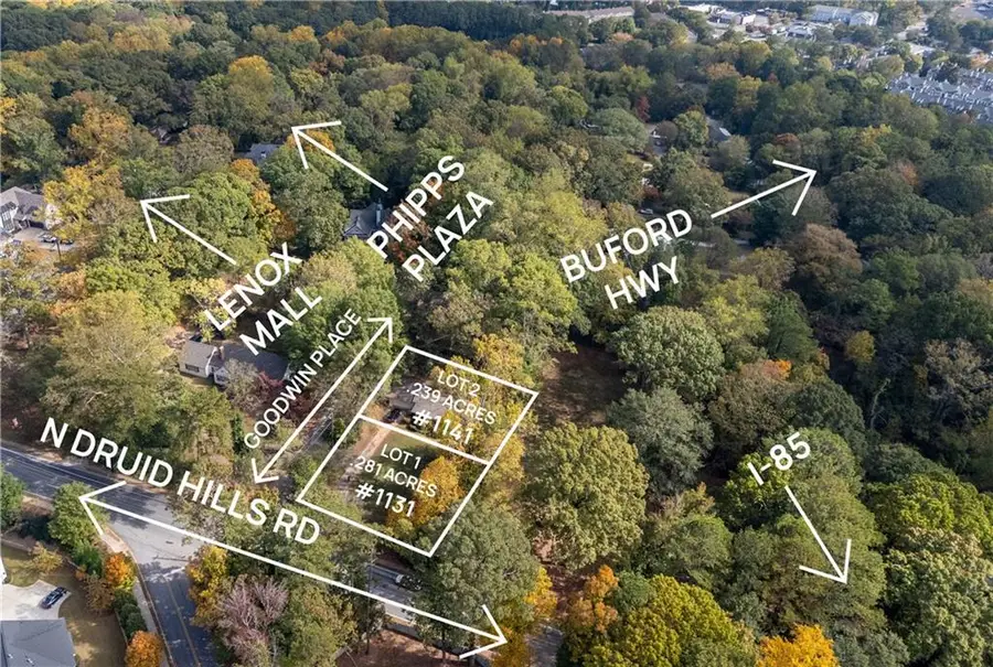 1141 Goodwin Place Ne, Brookhaven, GA 30319 - #2