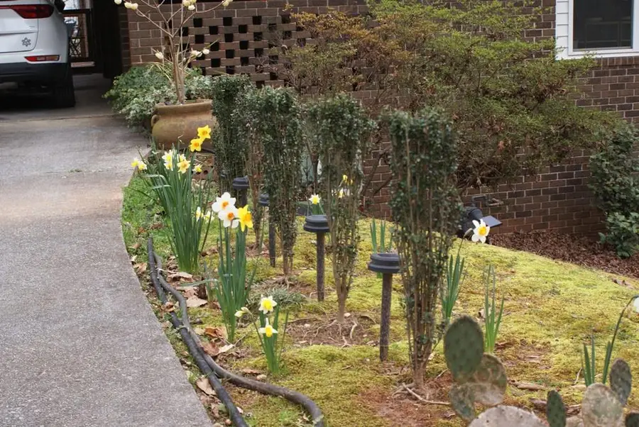 1146 Lakeshore Drive, Gainesville, GA 30501 - #3