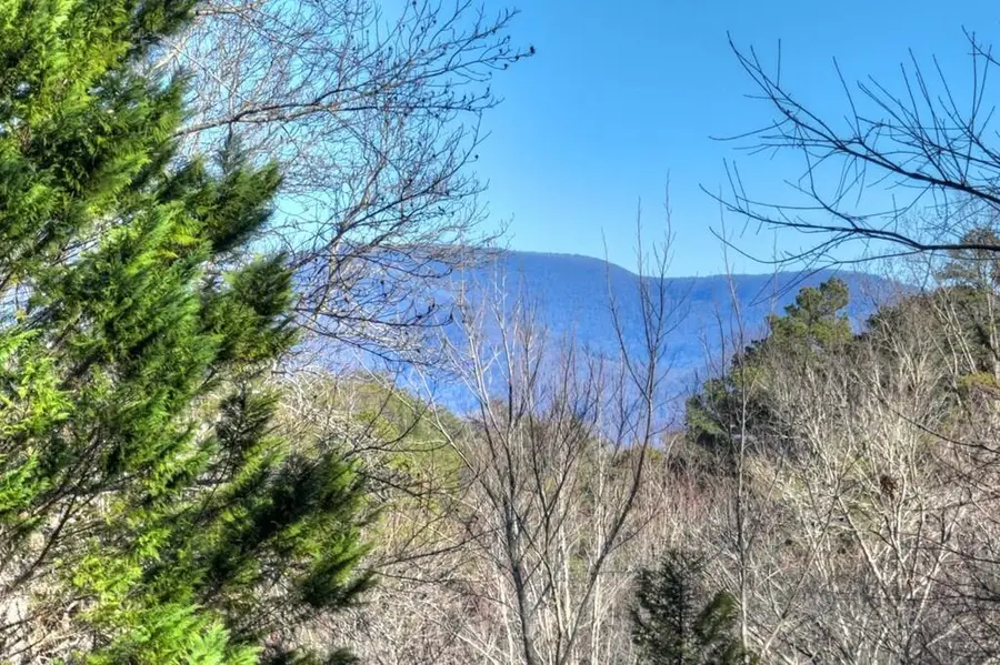 159 Victoria Drive, Blairsville, GA 30512 - #3