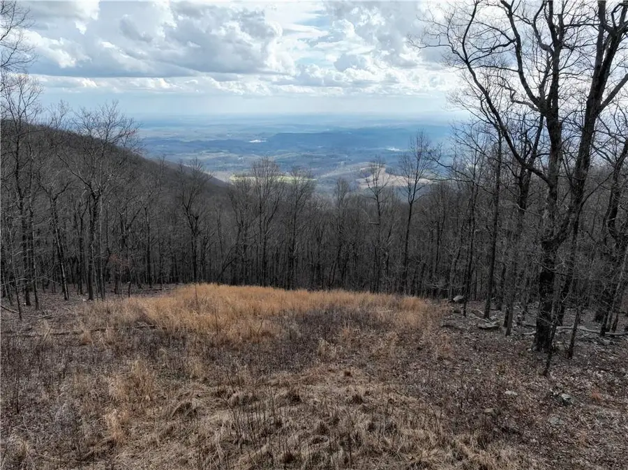 533 Old A T Approach Trail, Jasper, GA 30143 - #2