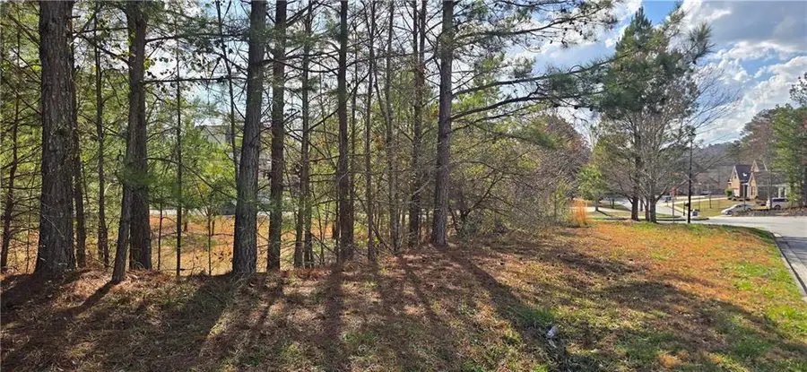 1946 Alcovy Trails Drive, Dacula, GA 30019 - #3