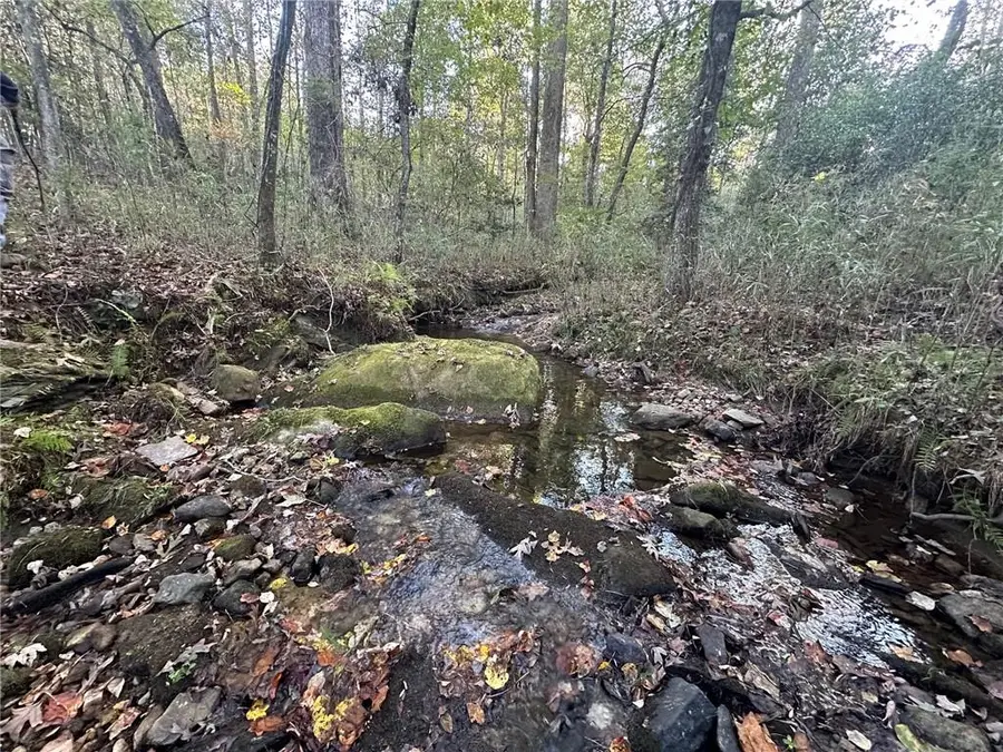 00 Lee Mashburn Road, Dahlonega, GA 30533 - #2