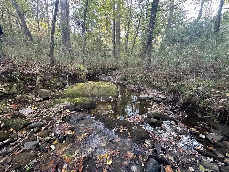 00 Lee Mashburn Road, Dahlonega, GA 30533 - #3