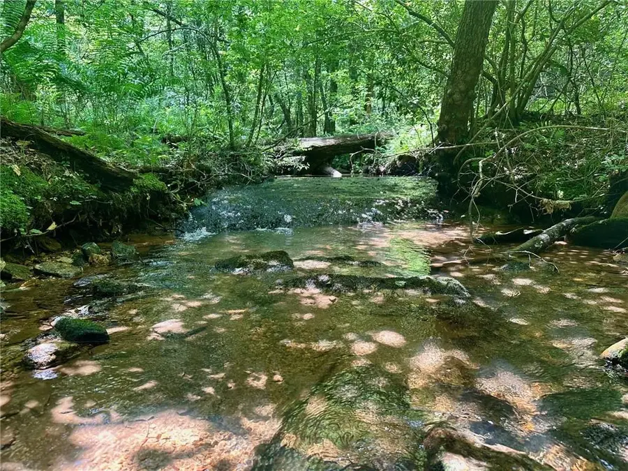 40 Patriot View Drive, Dahlonega, GA 30533 - #2