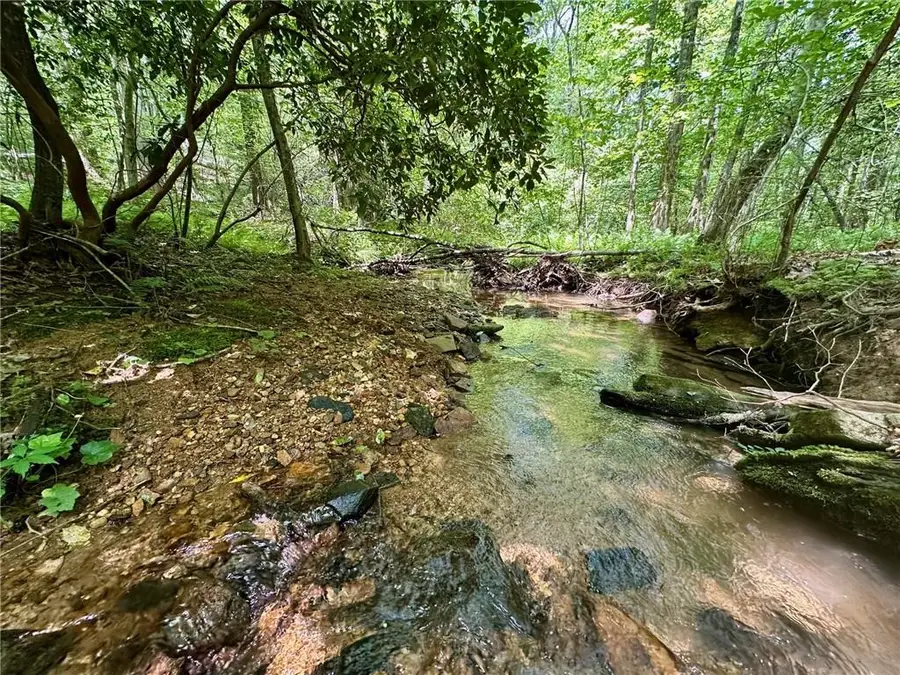 40 Patriot View Drive, Dahlonega, GA 30533 - #3