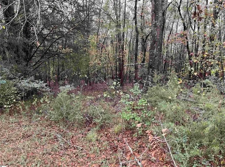 0 Evergreen Church Road, New Hope, NC 28684 - #3