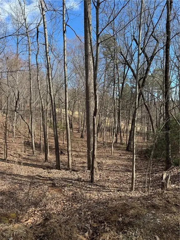 2526 Turnbury Lane, Big Canoe, GA 30143 - #2