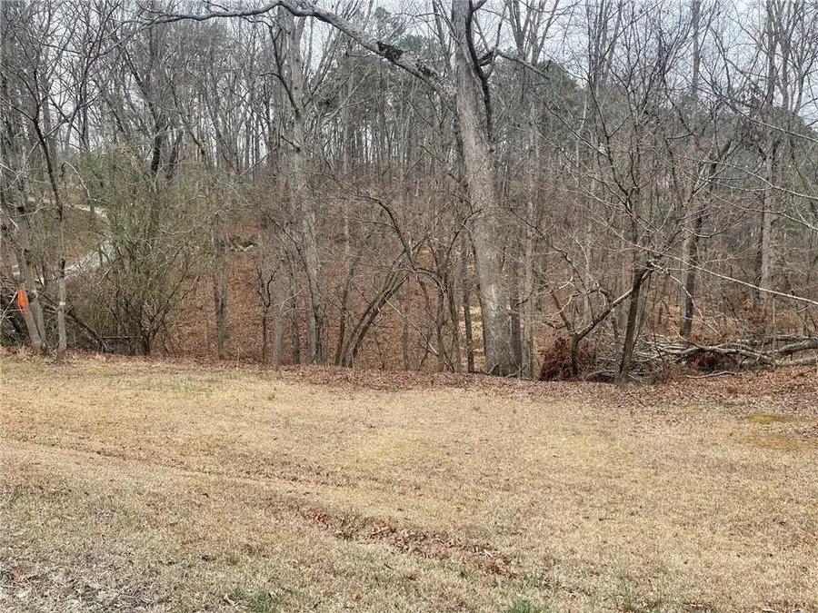 Lot 10 Olivia Lane, Ball Ground, GA 30107 - #2