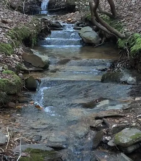 Lot 10 Olivia Lane, Ball Ground, GA 30107 - #3