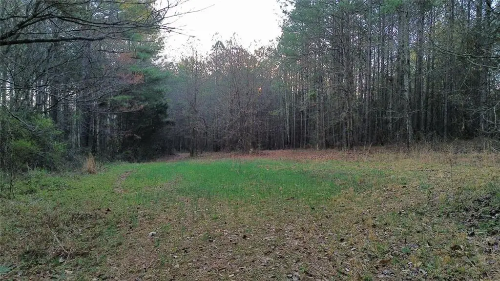 8165 Highway 81, Bethlehem, GA 30620 - #1