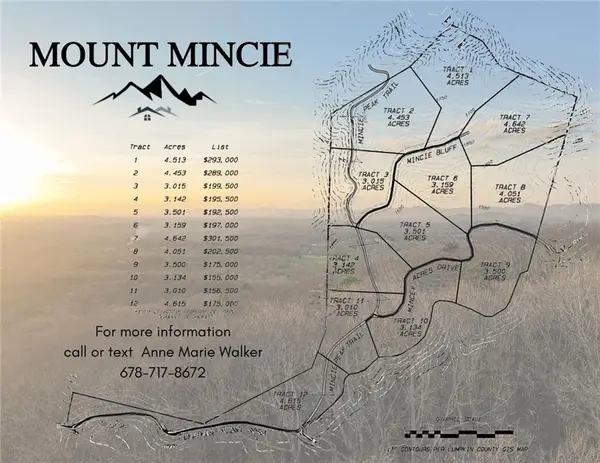 Lot 2 Mount Mincie Road, Murrayville, GA 30564