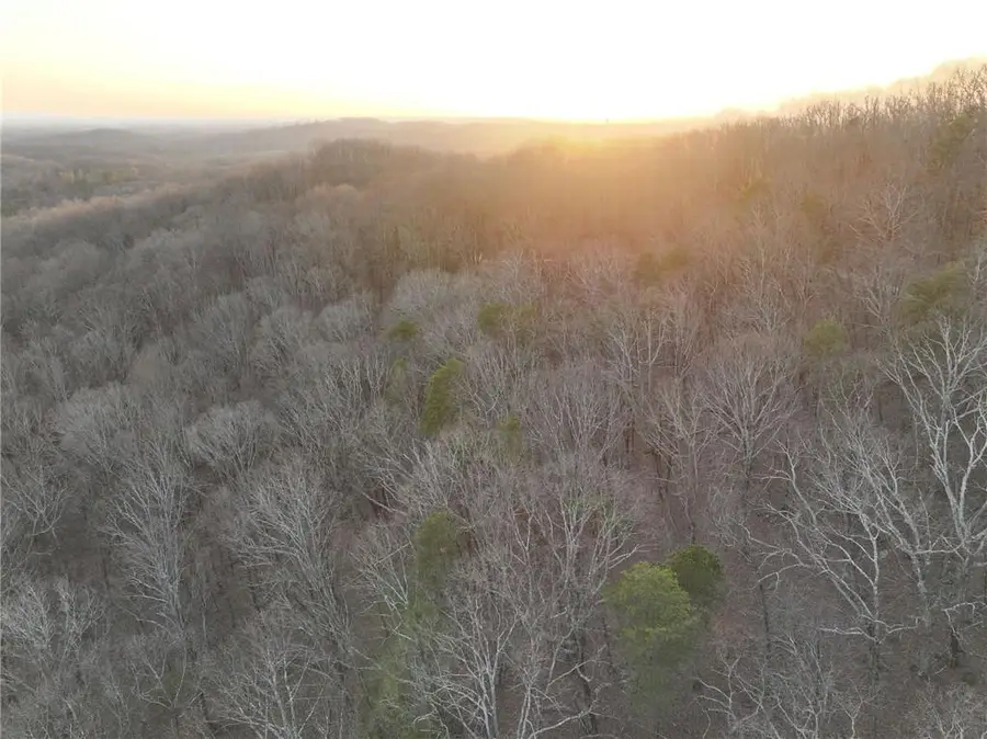 Lot 7 Mount Mincie Road, Murrayville, GA 30564 - #3