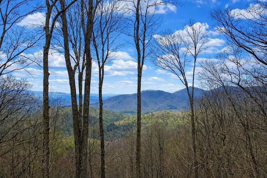 217 Walnut Ridge, Ellijay, GA 30540 - #2