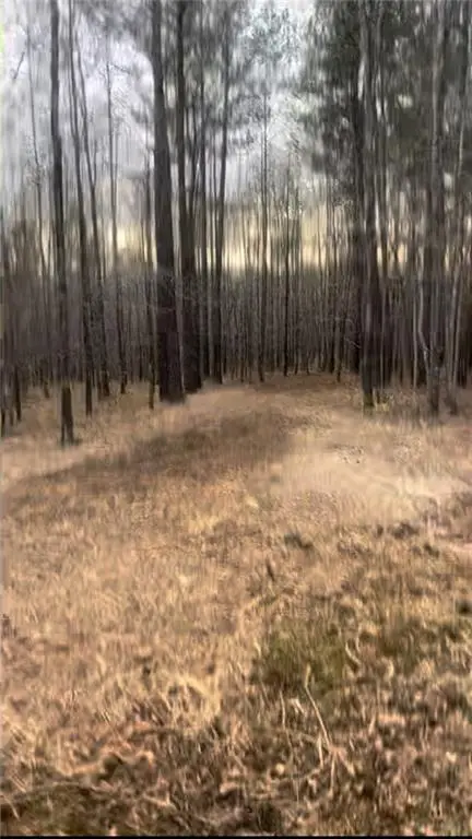 166 Lake Crest Drive, Sparta, GA 31087 - #1