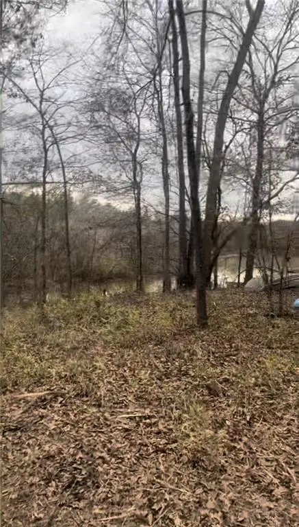 166 Lake Crest Drive, Sparta, GA 31087 - #3