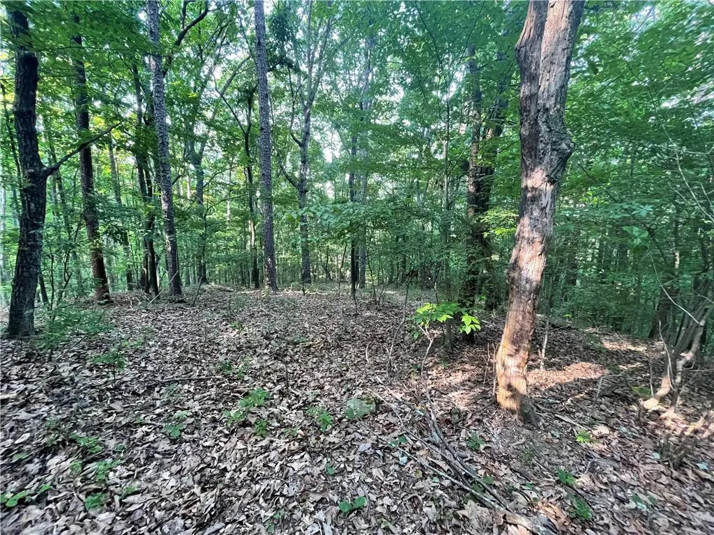 860 Cloudland Trace, Chickamauga, GA 30707 - #1