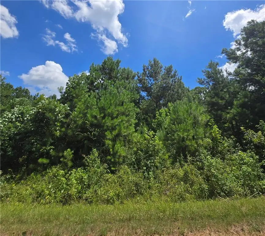 0 Beechwood Road, Elberton, GA 30635 - #3