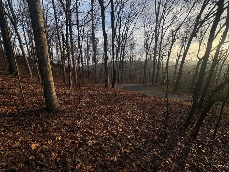 4888 J M Turk Road, Flowery Branch, GA 30542 - #2