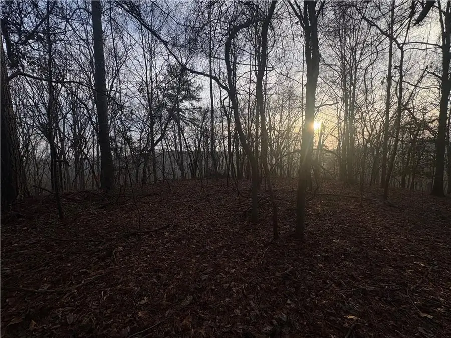 4888 J M Turk Road, Flowery Branch, GA 30542 - #3