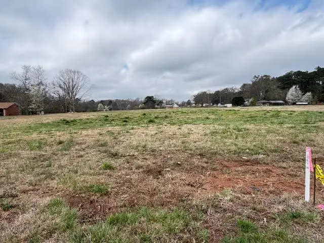 T1 461 Harry Mccarty Road, Bethlehem, GA 30620 - #3