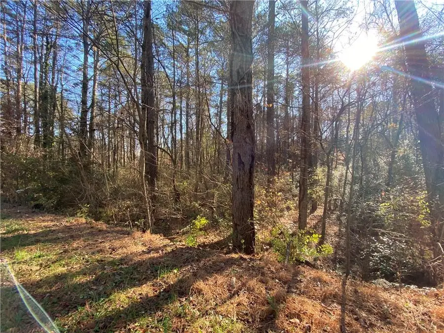 Lot 11 Belletta Drive, Canton, GA 30114 - #2