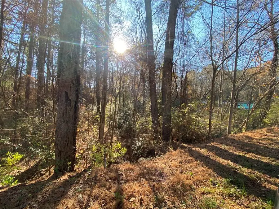 Lot 11 Belletta Drive, Canton, GA 30114 - #3