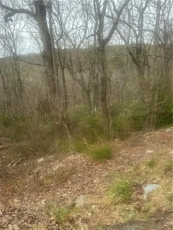 0 Mulberry Court, Jasper, GA 30143 - #3