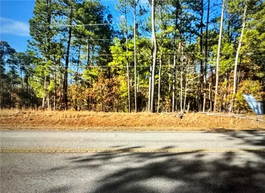 O Freeman Road, Hampton, GA 30228 - #2