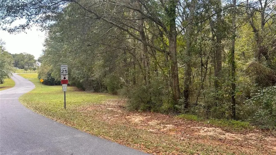 L-46 Ne Indian Shoals Drive, Loganville, GA 30052 - #3