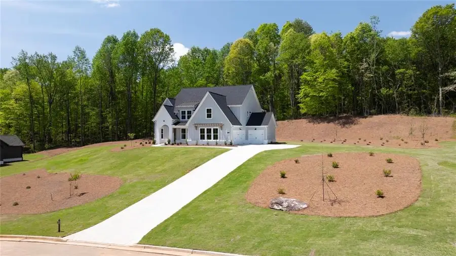 8330 Creekside Overlook Drive, Gainesville, GA 30506 - #3