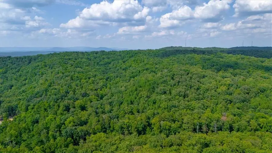 00 E Hermitage Road Ne, Rome, GA 30161 - #3