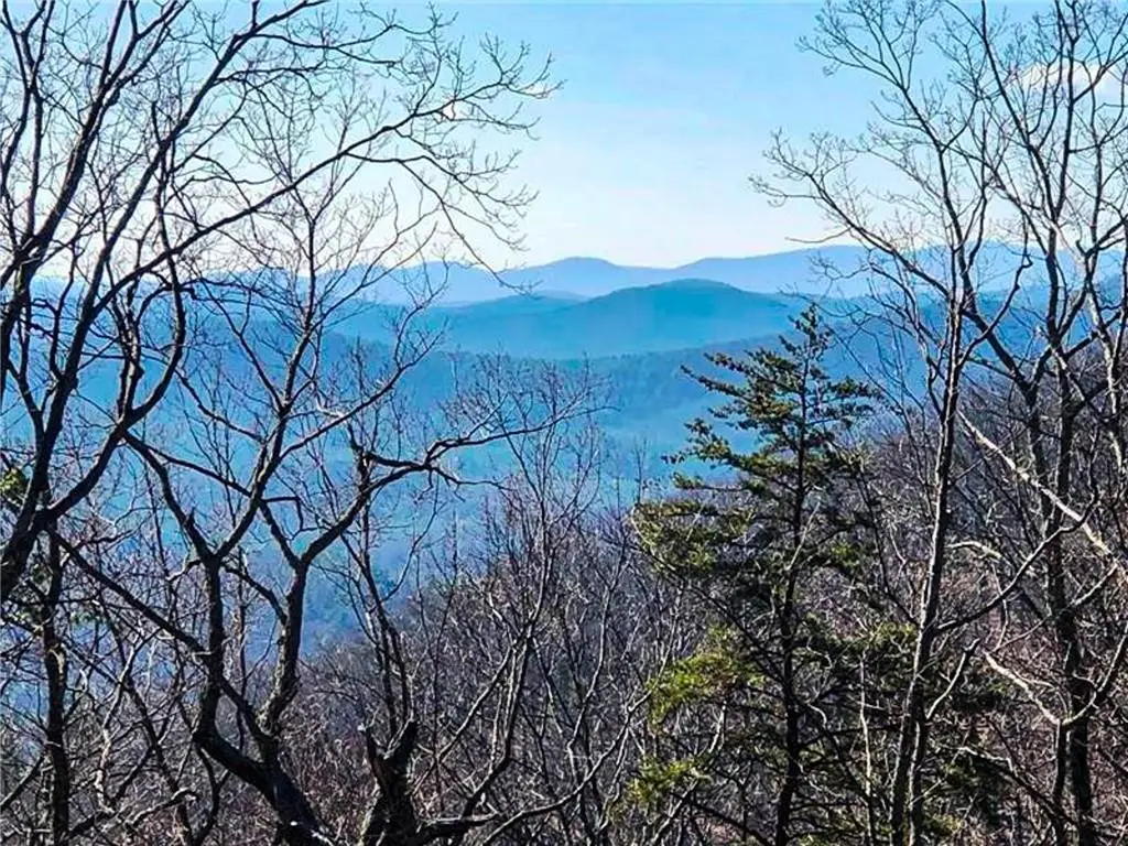 0 Coopers Gap Road, Dahlonega, GA 30533 - #1