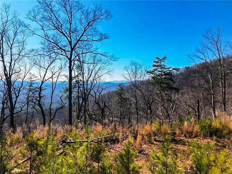 0 Coopers Gap Road, Dahlonega, GA 30533 - #2