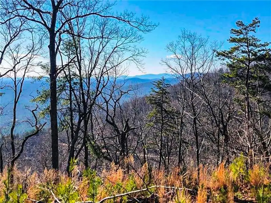 0 Coopers Gap Road, Dahlonega, GA 30533 - #3