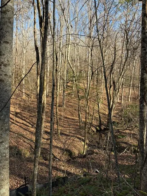 0 Gold View Drive, Dahlonega, GA 30533 - #2