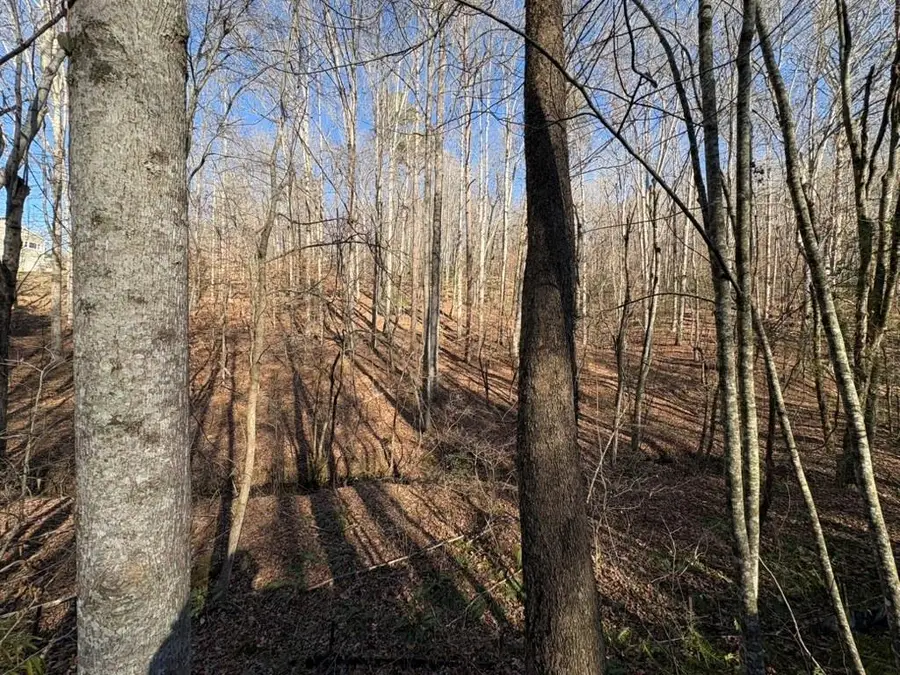 0 Gold View Drive, Dahlonega, GA 30533 - #3