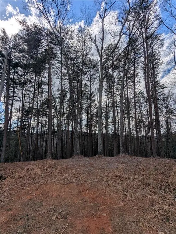LT 30 Eagle Ridge Road, Dawsonville, GA 30534 - #3