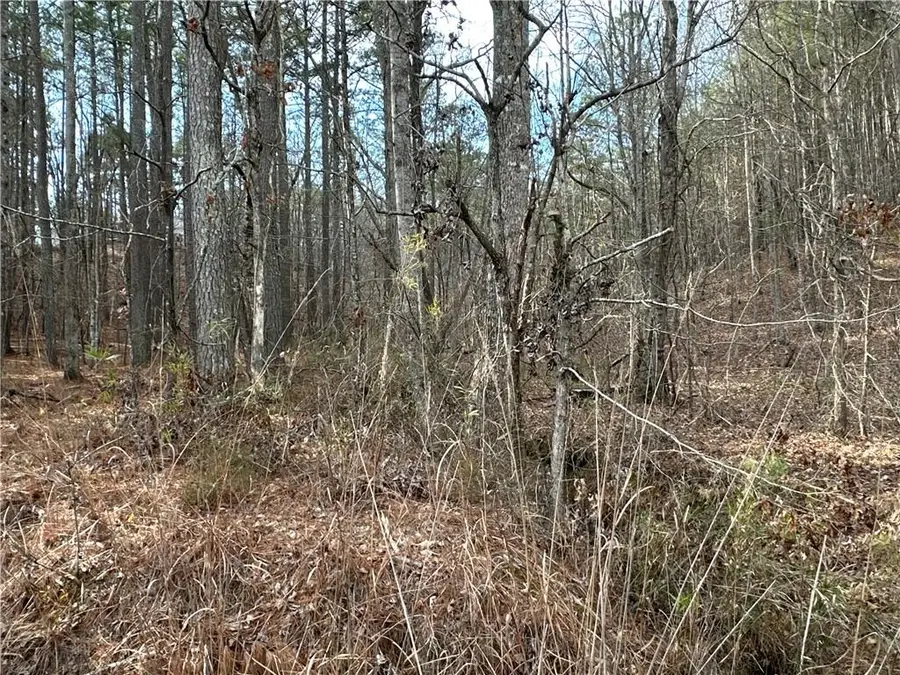 3472 Prior Station Road, Cedartown, GA 30125 - #2