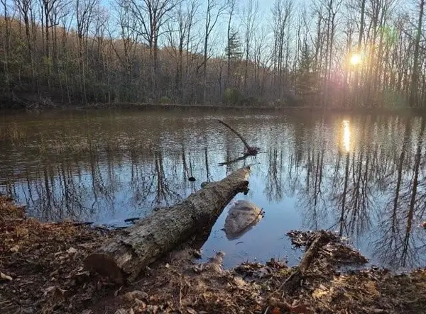 100 Hidden Hollow Lane, Dahlonega, GA 30533