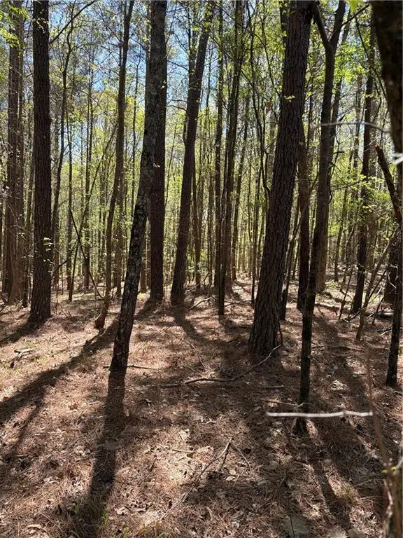 N/A Old Union Point Road, Greensboro, GA 30642 - #3