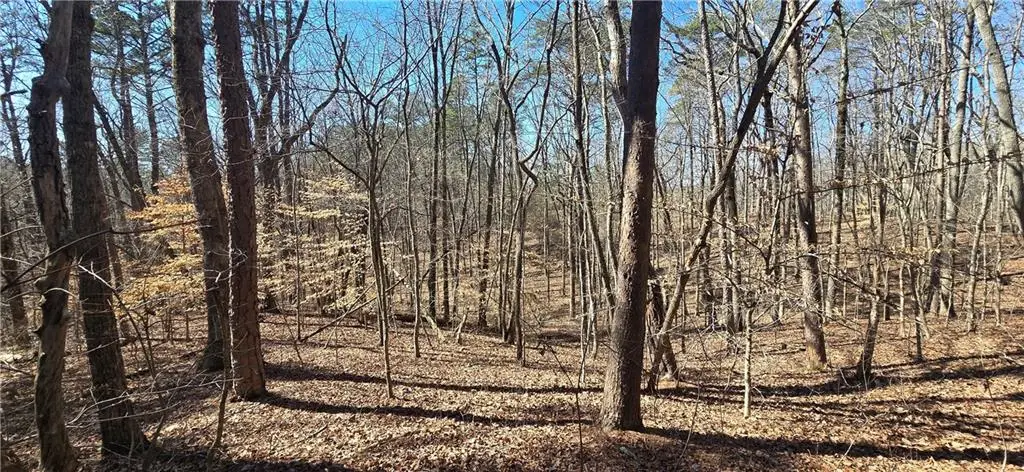 00001 Friendship Trail, Talking Rock, GA 30175 - #1