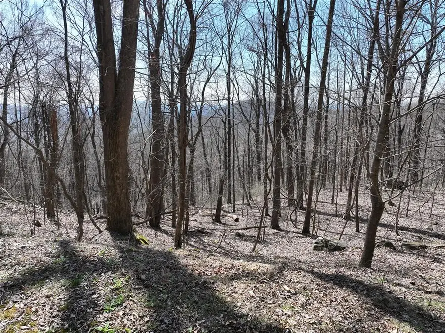243 Dragon Trail, Ellijay, GA 30536 - #2