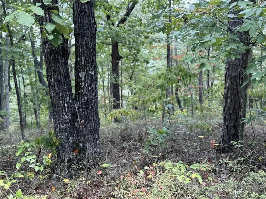1417 Foxhound Trail Ne, Ranger, GA 30734 - #2
