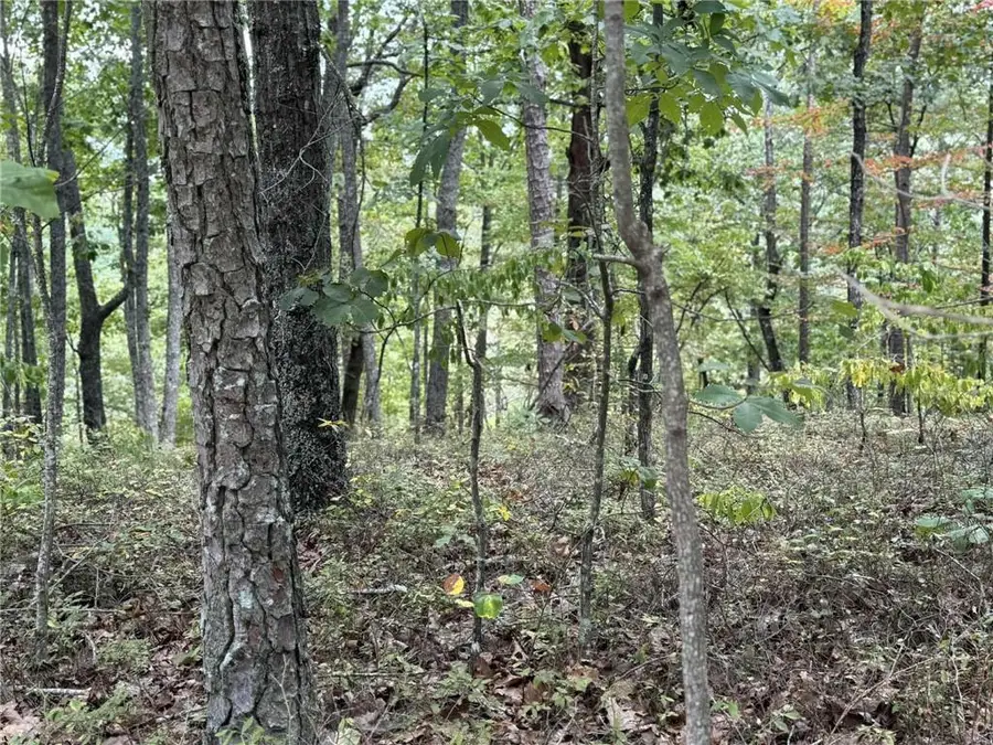 1417 Foxhound Trail Ne, Ranger, GA 30734 - #3
