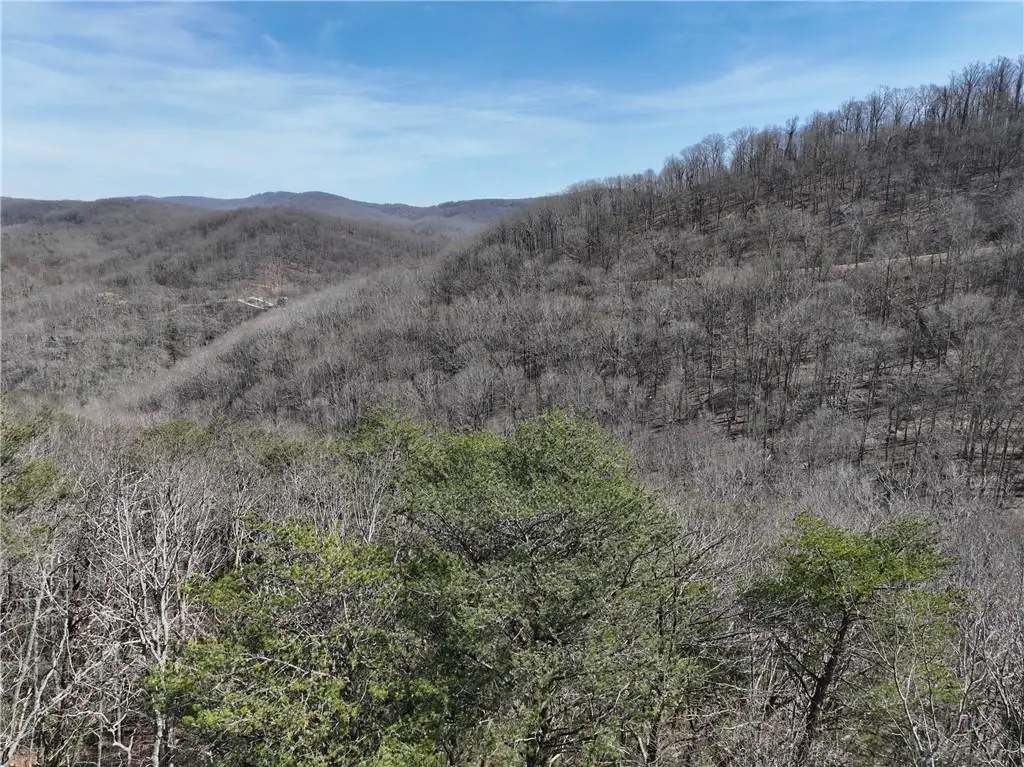 200 Stone Cliff Drive, Ellijay, GA 30536 - #1