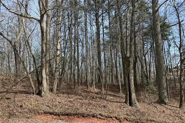 0 Bayou Drive, Ellijay, GA 30540