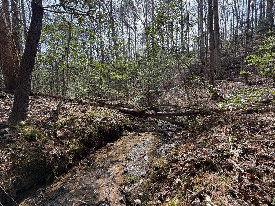 0 Bayou Drive, Ellijay, GA 30540 - #2